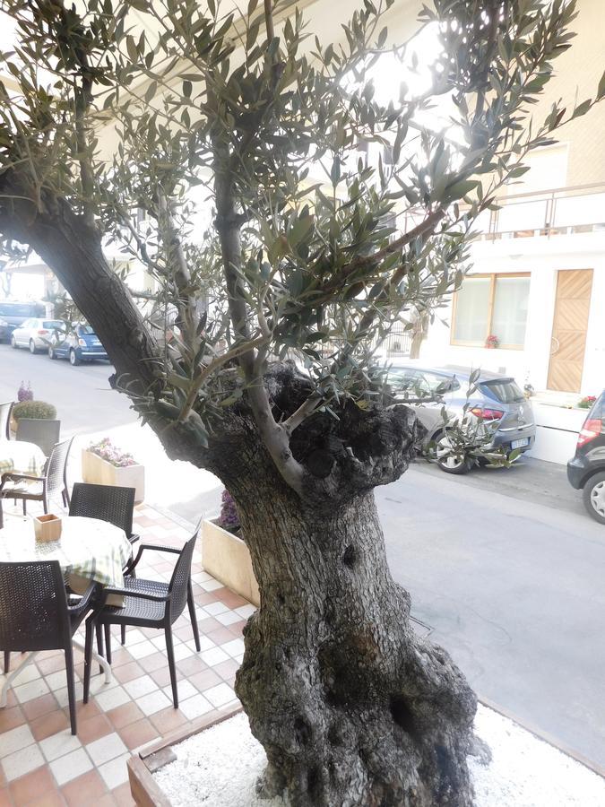 Hotel Dolores Rimini Exterior photo