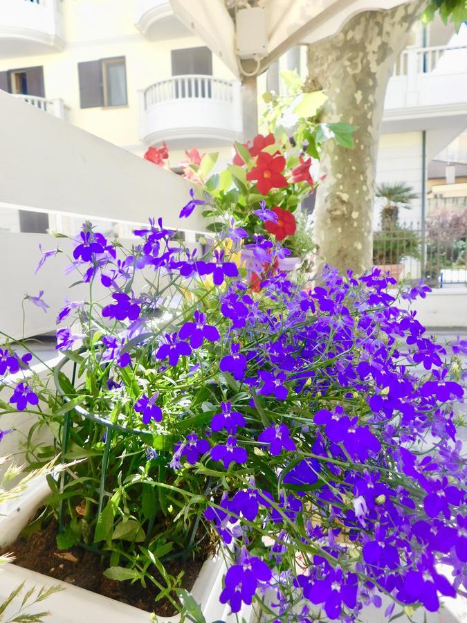 Hotel Dolores Rimini Exterior photo